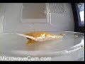 MicrowaveCam.com - Packet Of Mustard (slow motion) MicrowaveCam.com - Packet Of Mustard (slow motion)