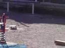 Playground In Pigadia