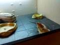 My bearded dragon hotel!