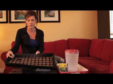 how to transplant jiffy peat pellets