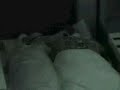 Nick & Daniele spend the night together 1/8