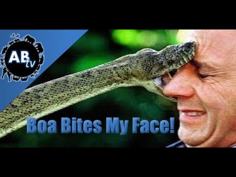 YouTube reptile video