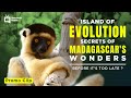 Madagascar Island Ark Promo