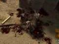 Merciless MatadoR COD2 Gore Mod