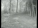 Vaalbeek Z1 - Jef\
