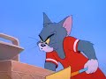 Salt Water Tabby from Tom and Jerry Salt Water Tabby