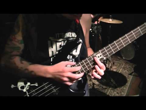 how to transplant ponga