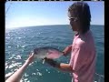 Tuna Fishing with LAZER LURES - lazerlures.com