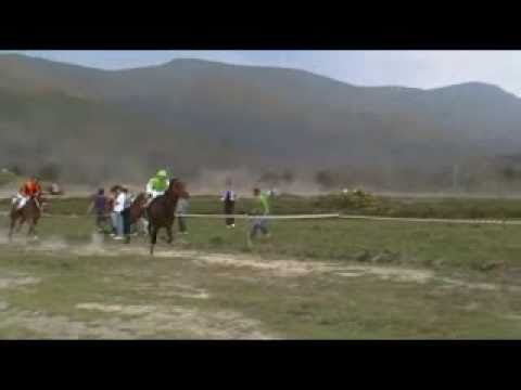 CARREIRA DE CABALOS PORTO DO SON JEQUE