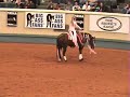 Guinness NRHA Freestyle Reining 2006