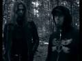 Swallow the Sun: Plague of Butterflies INTERVIEW