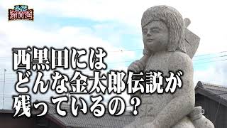 2021/04/29放送・知ったかぶりカイツブリにゅーす