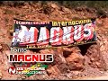 LOS MAGNUS - TORITO ( ZAPATEO )