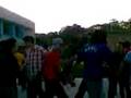videos de oso en el tec