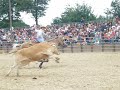 equiblues 2008 st agreve france roping