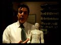 Meridians, Acupuncture points and how they affect you