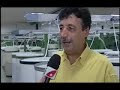 A Força do ES: Fábrica de fios esquenta economia em Ibiraçu