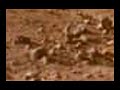 Mars Phoenix Artifacts