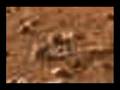 Mars Phoenix Artifacts
