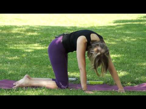 Namaste Yoga 135 Beginner’s Series Putting it All Together with Dr. Melissa West