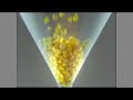 L'Occitane Australia Immortelle Cinema ad launched July 08