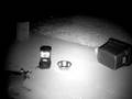 Critter Cam