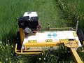 Quad et tondeuse 1