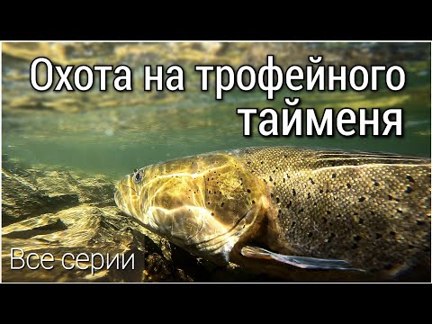 Экспедиция за трофейным тайменем в Тыву