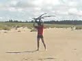 gff