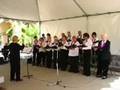 videos de Melodiers sing 