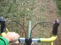 Wissahickon Cross by Logan Hodson