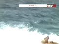 Terror por ataque mortal de medusas a nadadores en el oceano Terror por ataque mortal de medusas a nadadores en el oceano