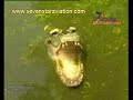 SevenStar Amazing Thailand Promotion.