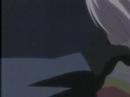 Wolf\