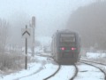 Franchissement Sémaphore fermé par un TER SNCF