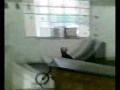 Mark salvin riding bmx edit Mark salvin riding bmx edit
