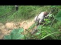 Equipping Glengoffe, Jamaica, to tackle climate change