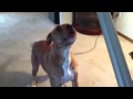 Hughey and the vacuum - YouTube