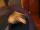 Tertsin PicoZ lenn�tyst�