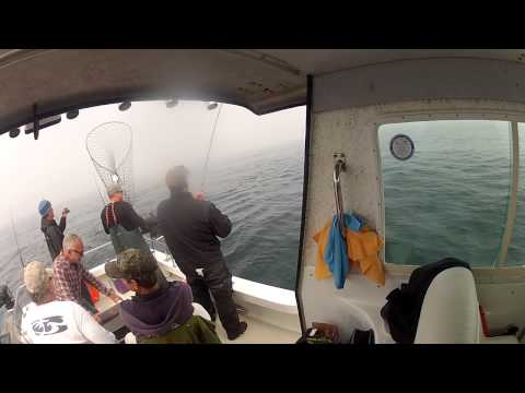 North Cal Sportfishing - Salmon Fishing Bodega Bay ,California on