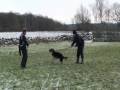 videos de Turbaz Troja 7 month e.  Figo