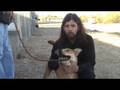 Tucson Dog Rescue Group - 04 - Goldie