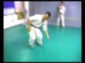 kyokushin vs hapkido