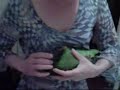 papagaio folgado , sluggish parrot, parrot