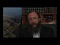 Weekly Torah Portion: Masei