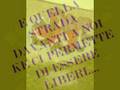 videos de graffiti stif psr