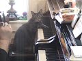 Nora: Whose Piano Is It, Anyway?