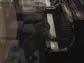 Nora: Whose Piano Is It, Anyway? Nora: Whose Piano Is It, Anyway?