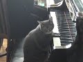 Nora: Whose Piano Is It, Anyway?