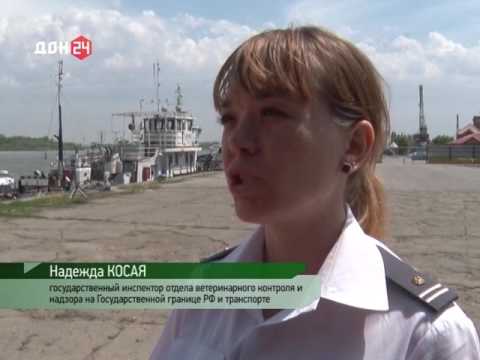 О проверке сельхозпродукции в Азовском речном порту на ГМО